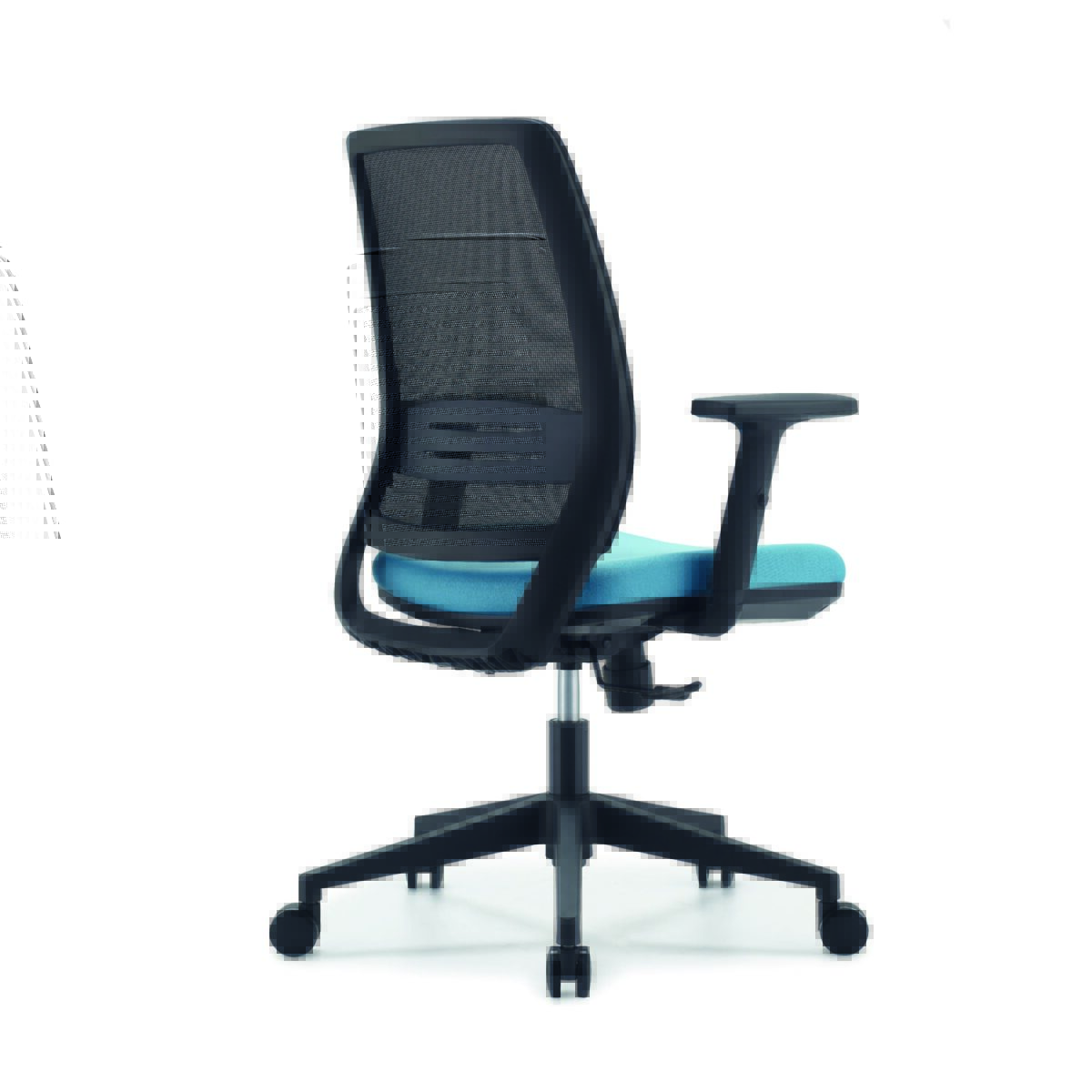 Bon - Image 8