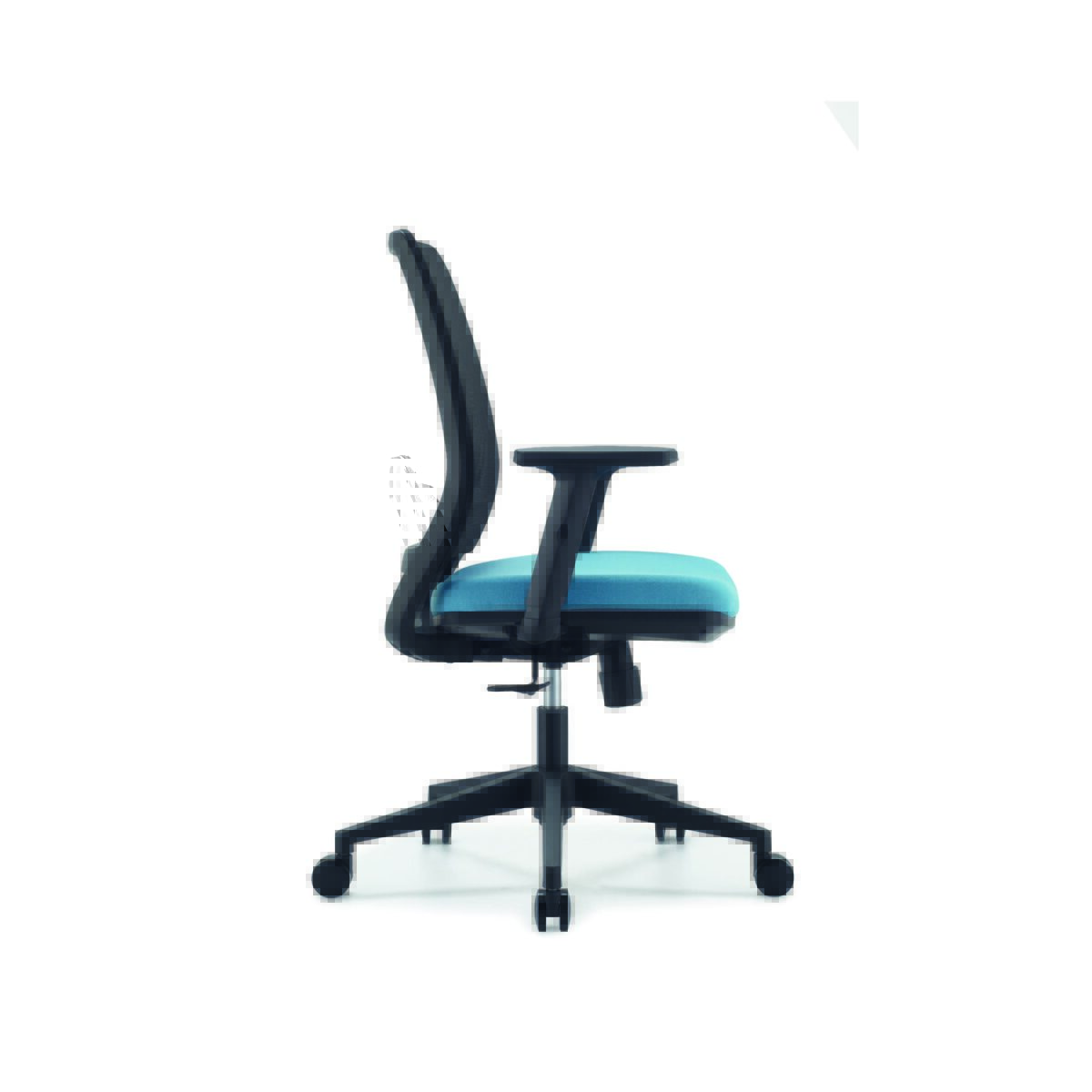 Bon - Image 11