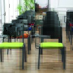 Woody - Image 7