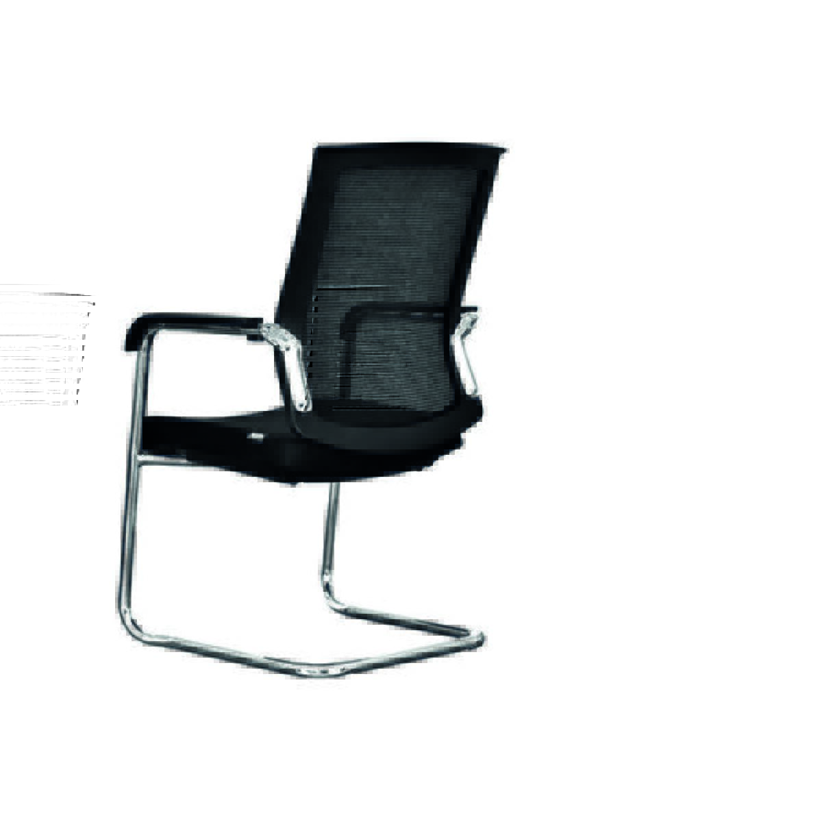 Guest - Image 4