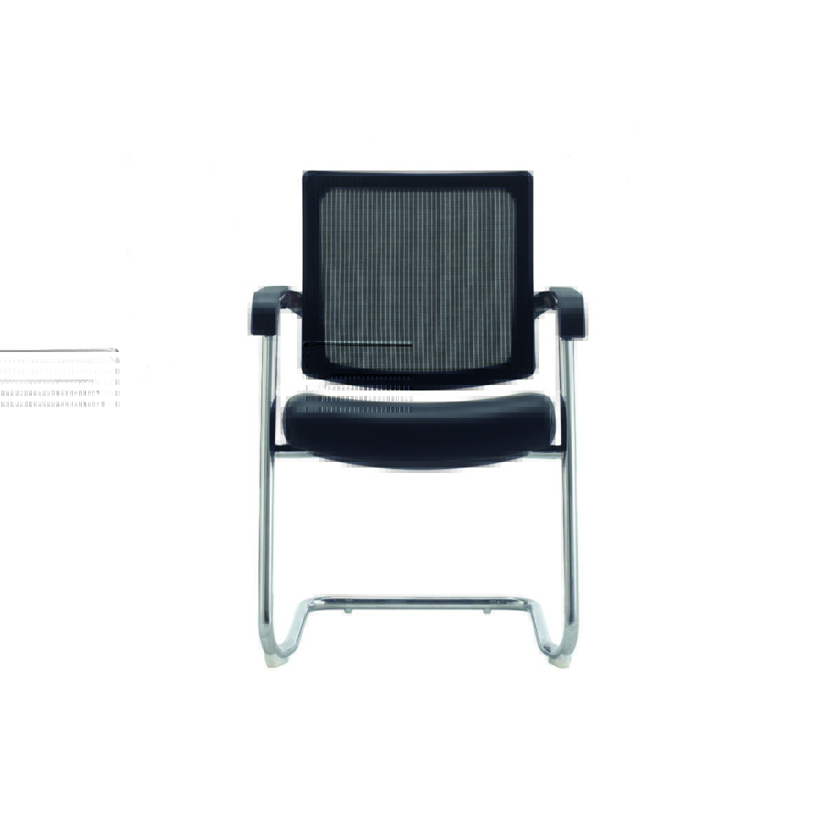 Guest - Image 6