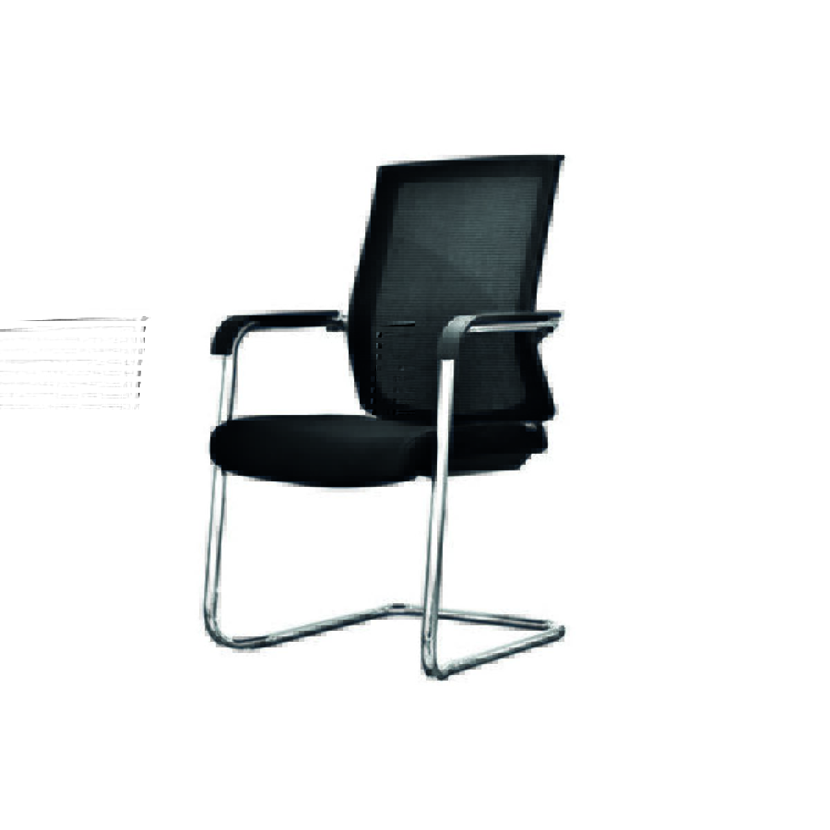 Guest - Image 7