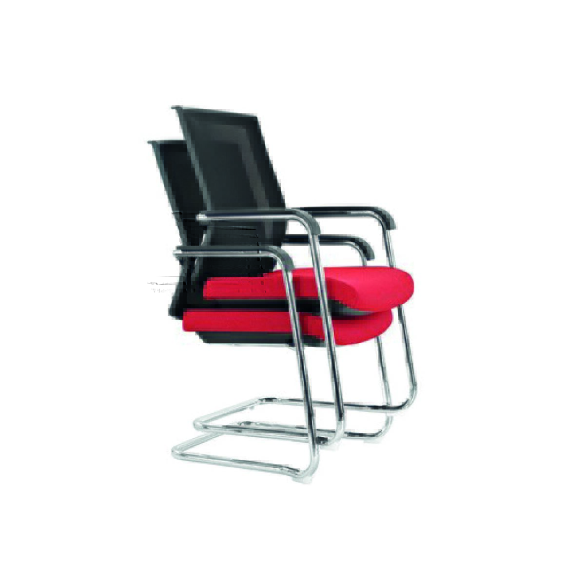 Guest - Image 10