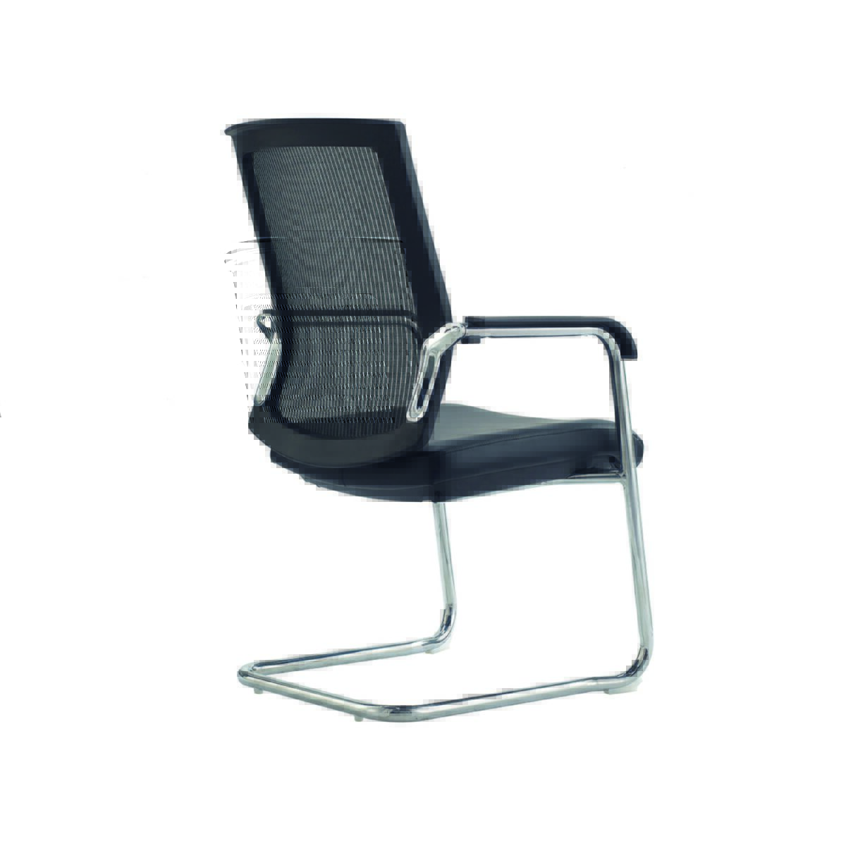 Guest - Image 12