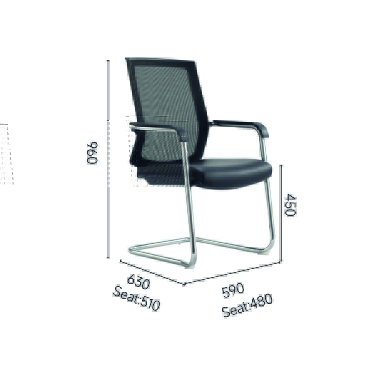 Guest - Image 2