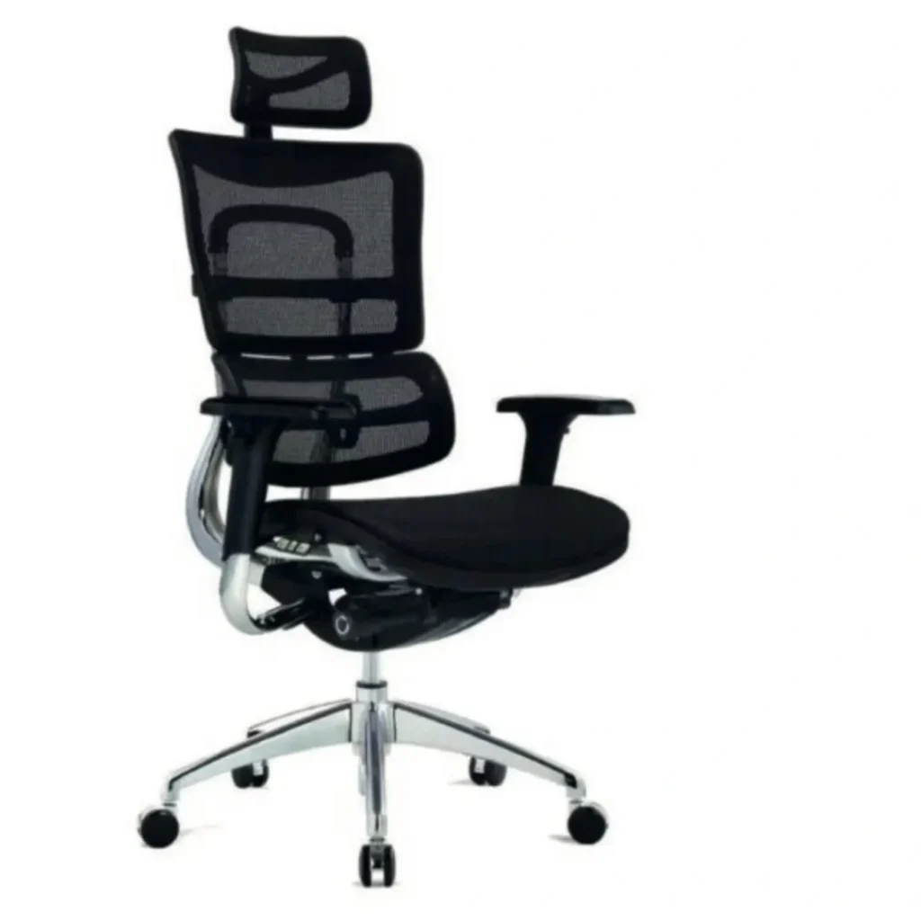 Best Office Chair for Back Pain in Egypt