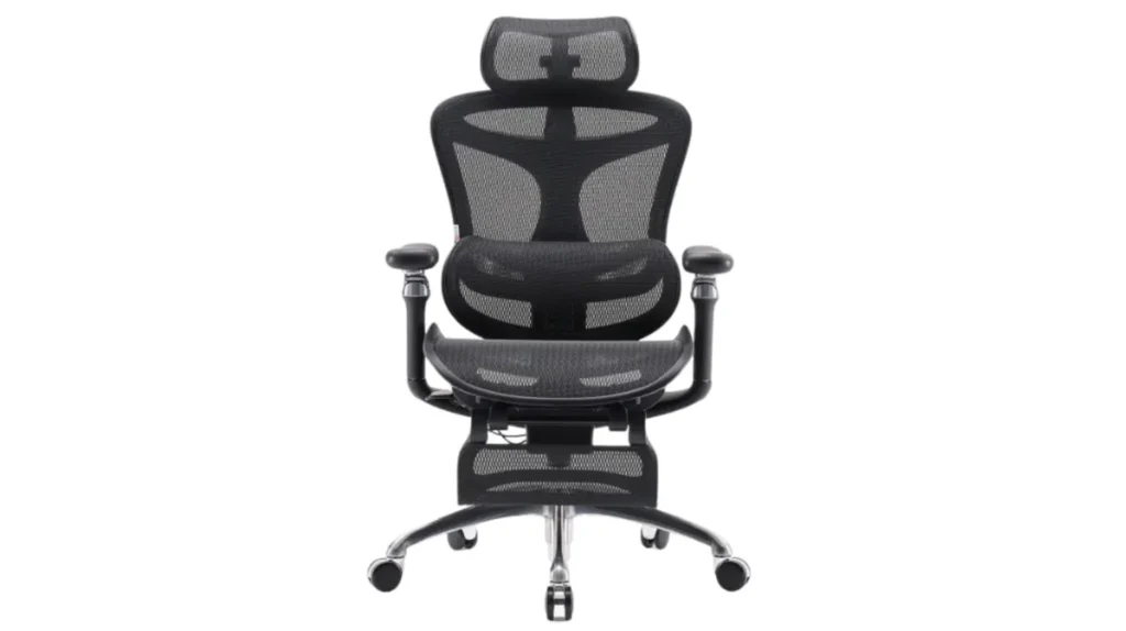 Ergonom office chair cairo